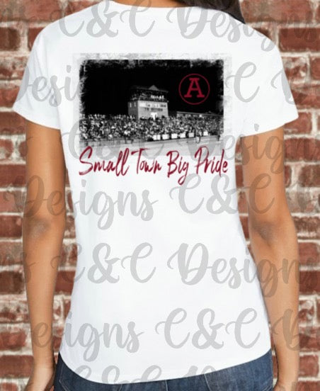 Abbeville Panthers- Small Town Big Pride